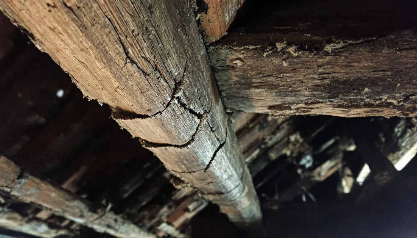 Rénovation - Comment l'humidité affecte-t-elle la structure de votre maison ?